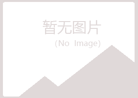 伊春西林山柳金属有限公司